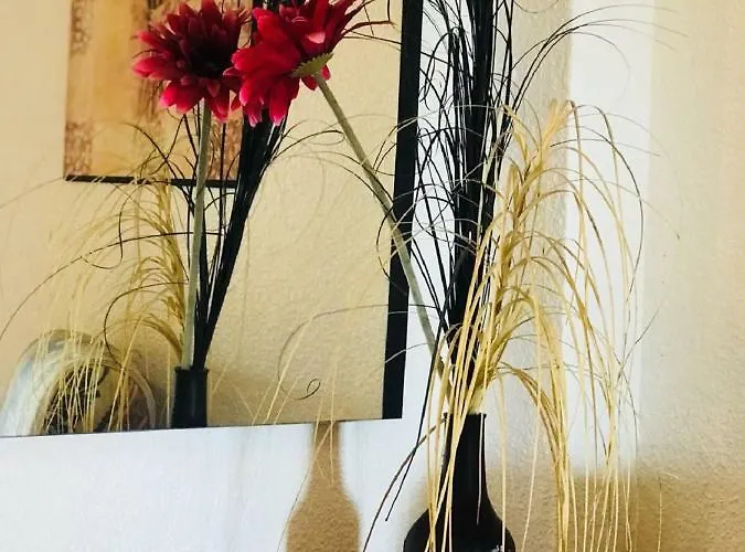 Argonautas * Torrevieja